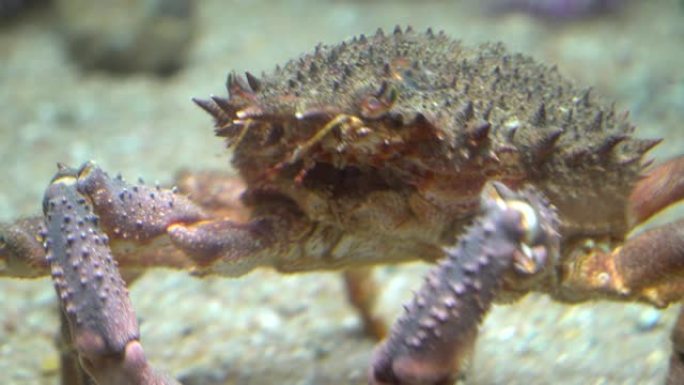 鱼缸水水产水族馆养殖户