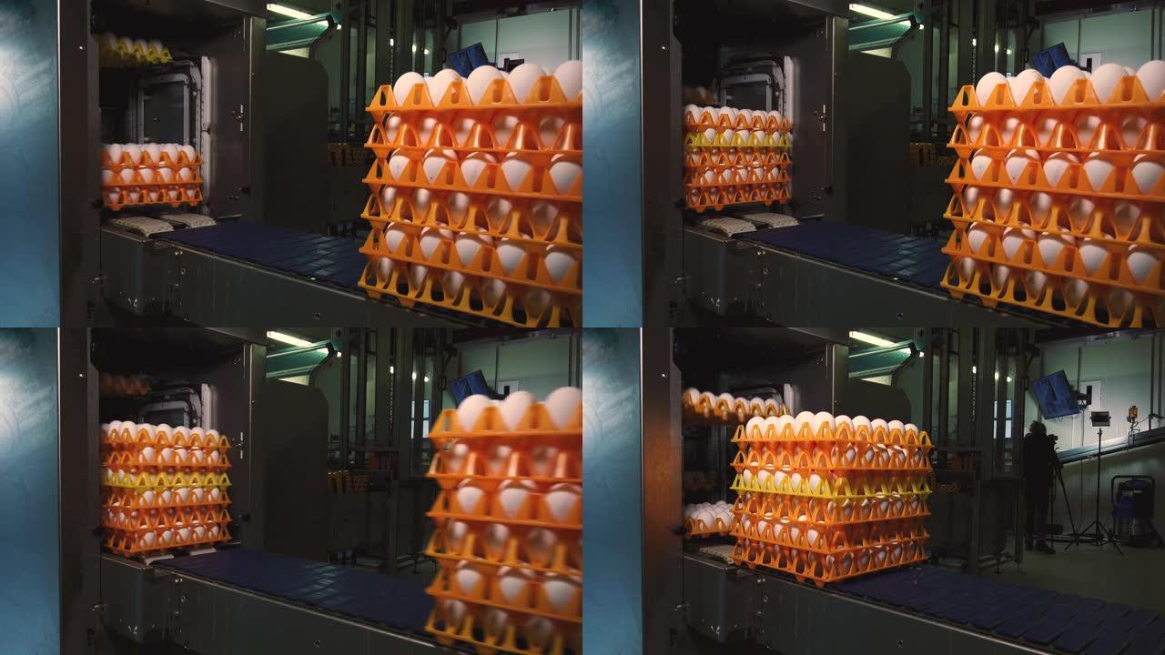 机器将鸡蛋堆叠在传送带上的橙色托盘中