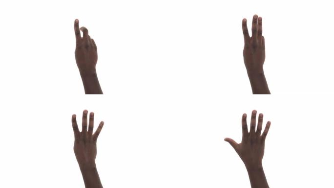 男性手的特写显示了数字一，二，三，四，五。非裔美国人表现出手势。孤立，在白色背景上