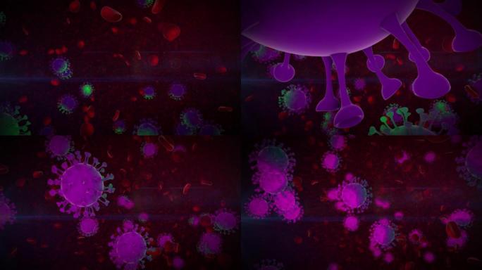 病毒新型冠状病毒肺炎白细胞抽象概念图像为新闻