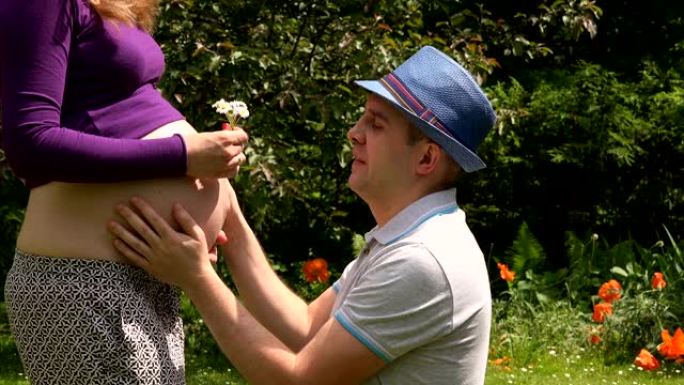 男人丈夫戴帽子带来雏菊花和亲吻孕妇妻子的肚子