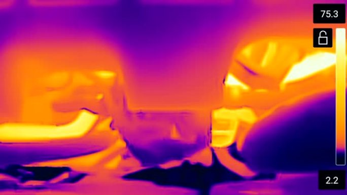 使用热像仪扫描仪对汽车发动机进行热成像