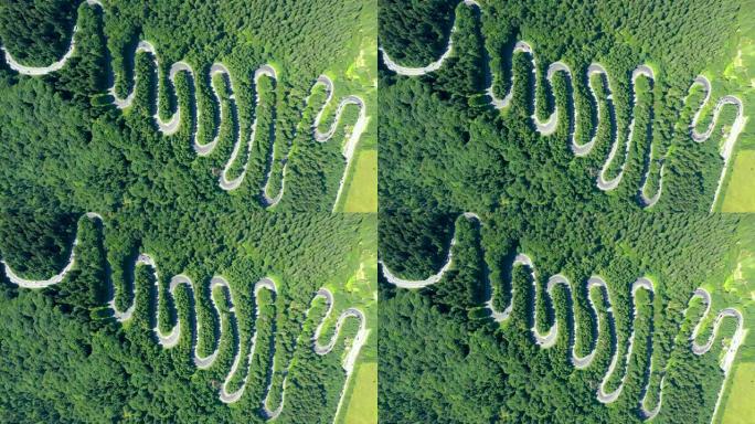 在绿色森林中，与过往的汽车一起飞越蜿蜒曲折的柏油路。空中4k无人机视图