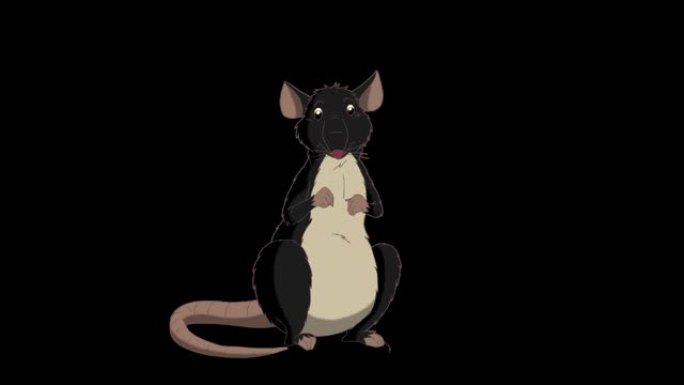 黑鼠坐着笑着动画阿尔法哑光