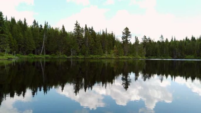 初夏钓鱼湖的视频。