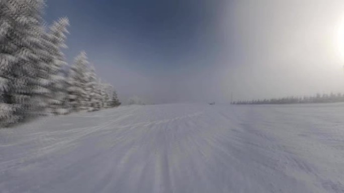 在雾蒙蒙的晴天快速运动中滑下带有雪和树木的滑雪坡POV