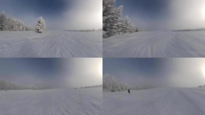 在雾蒙蒙的晴天快速运动中滑下带有雪和树木的滑雪坡POV