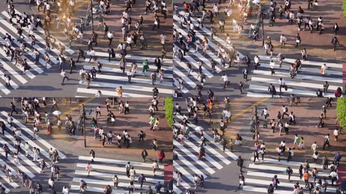 人群穿越斑马线，日本东京。