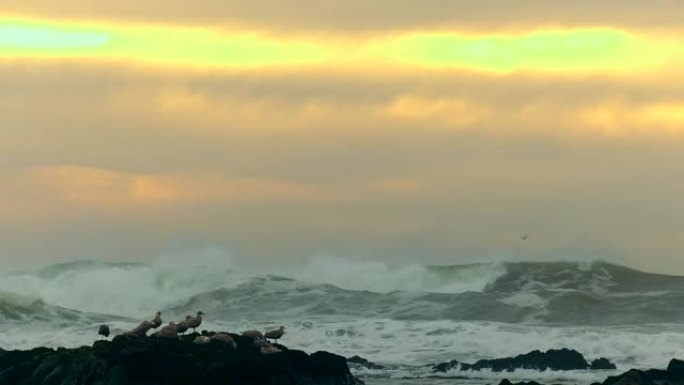 太平洋巨浪海浪汹涌海浪来袭