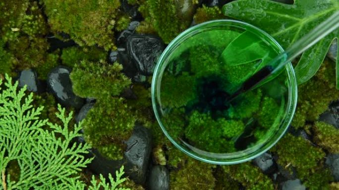 有毒污染绿色自然，科学家滴入并测试化学液体对生物环境，污染污染物的影响。