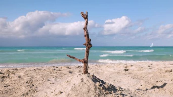 海浪轻轻地撞击古巴的沙滩。