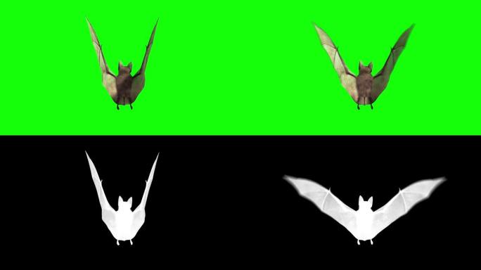 3D蝙蝠循环屏幕动画阿尔法镜头包括