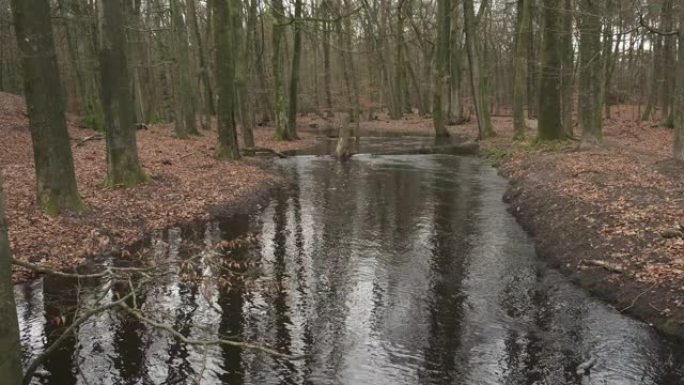 Veluwe自然保护区大雨过后，满溢的Leuvenum forest creek