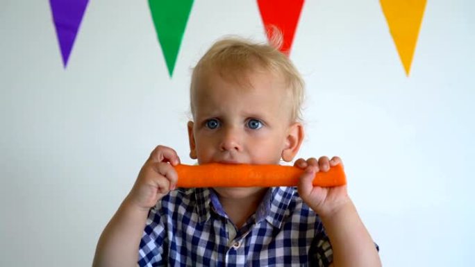 可爱的蹒跚学步的小男孩双手捧着胡萝卜咬它。万向节运动