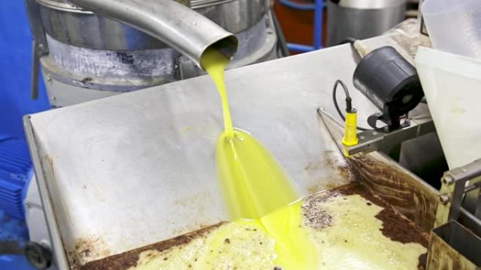 手工橄榄油工厂的油倾析