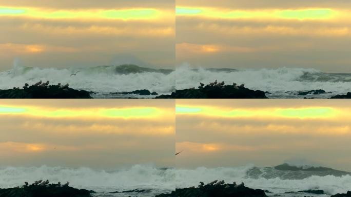 太平洋巨浪太平洋巨浪海浪翻滚