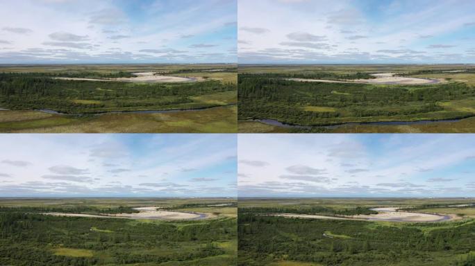 鸟瞰4k视频。北极圈，苔原，飞越森林-苔原和河流。森林景观-苔原和桑迪河岸。