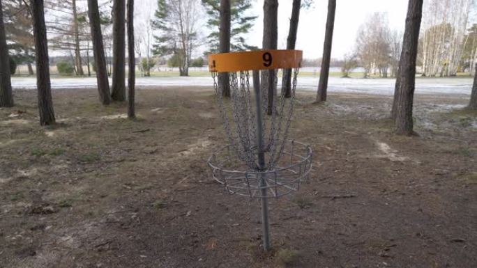 在爱沙尼亚公园中央发现的圆盘高尔夫