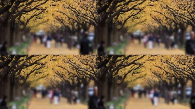 Walking people at the ginkgo street in Tokyo at au