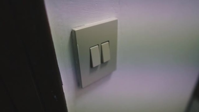 按钮开关和电灯开关。