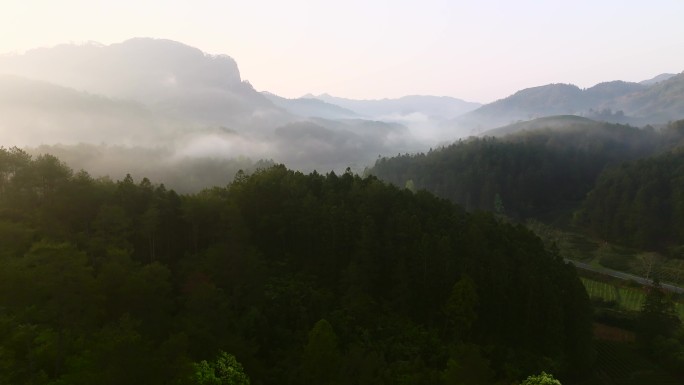 武夷山清晨云雾