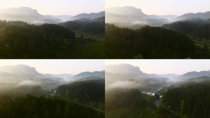 武夷山清晨云雾