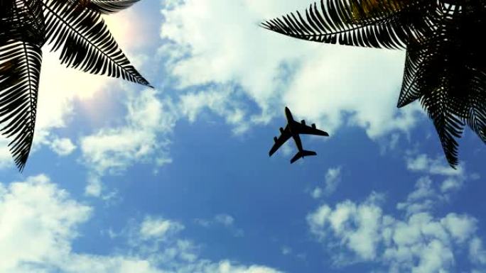 旅游，乘飞机到热带地区的酒店旅游。云层背景上的棕榈分支