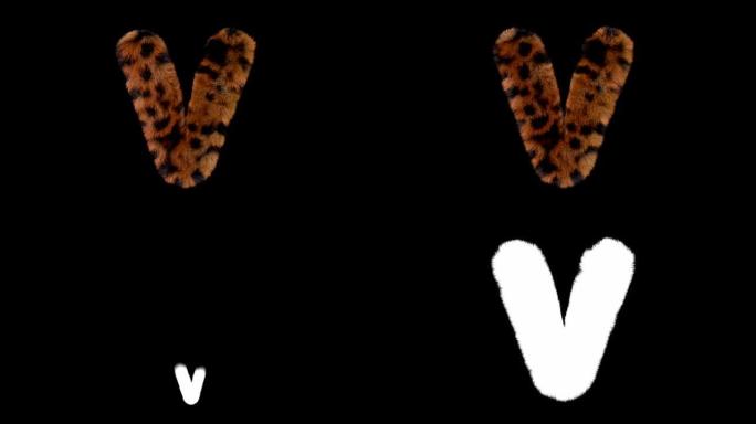 豹子毛茸茸的动画毛茸茸的字母V
