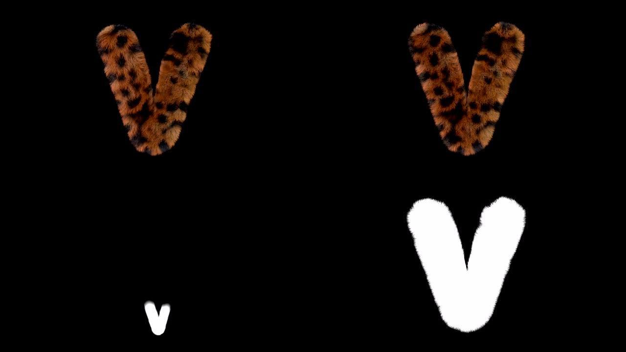 豹子毛茸茸的动画毛茸茸的字母V