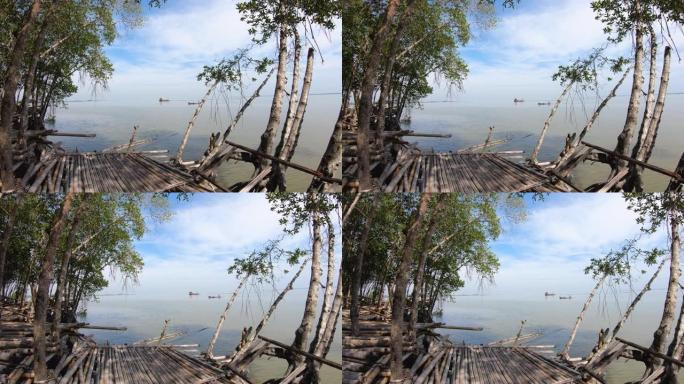 海上红树林竹墩的landscpae视图