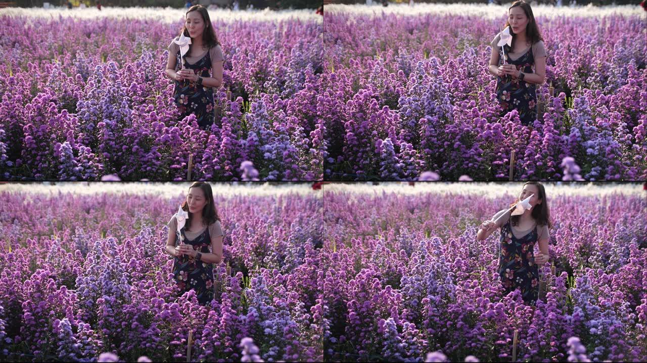 走在紫花田野里的女人，4K