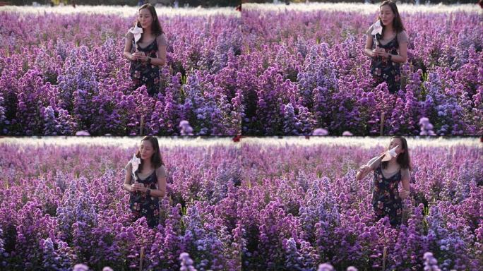 走在紫花田野里的女人，4K