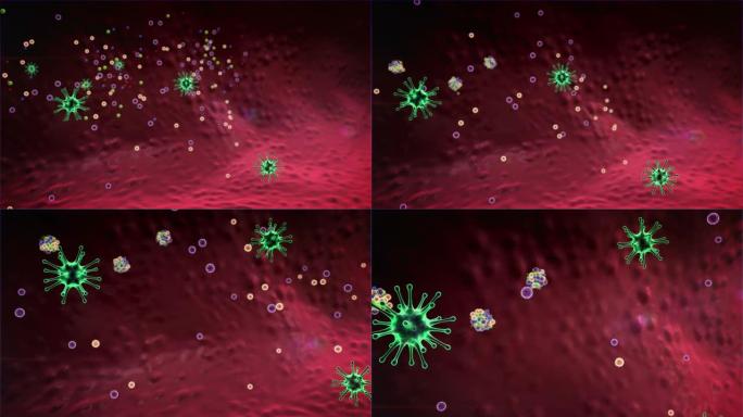 抗体攻击病毒抗体攻击病毒