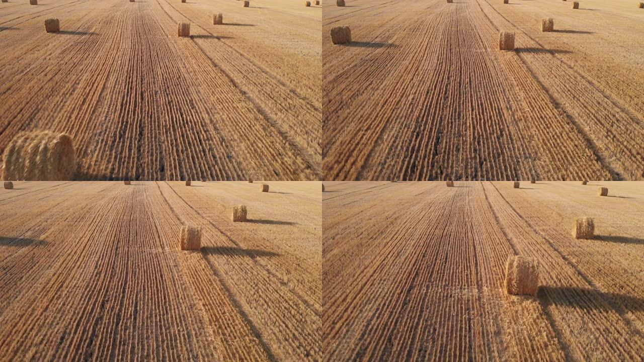 收获小麦后，用一捆稻草在田间上空飞行的航拍镜头