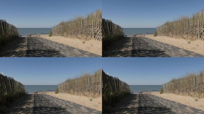 由木板制成的天然边界围栏和松树通往大海的路径4K