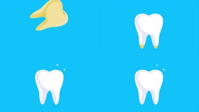 一颗健康的白色牙齿。牙科保健概念。