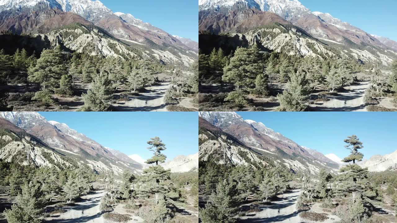 一条穿过尼泊尔喜马拉雅山马南山谷森林的小路。后面的安纳普尔纳链尖锐而贫瘠的山峰。安纳普尔纳巡回赛。大