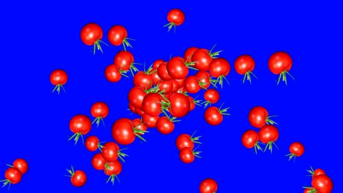 蓝屏色度键上的西红柿组过渡动画
