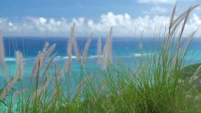 夏威夷瓦胡岛迎风海岸的莫库鲁阿群岛