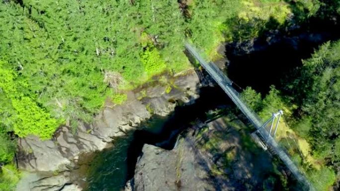 空中无人机在温哥华岛森林中的桥梁