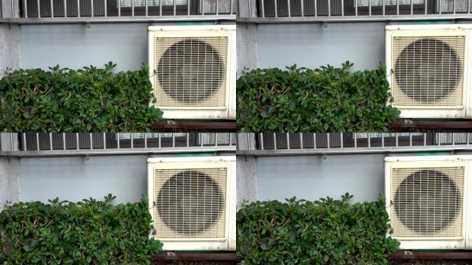 空调器系统的空气压缩机部分。主题在右边。绿叶。