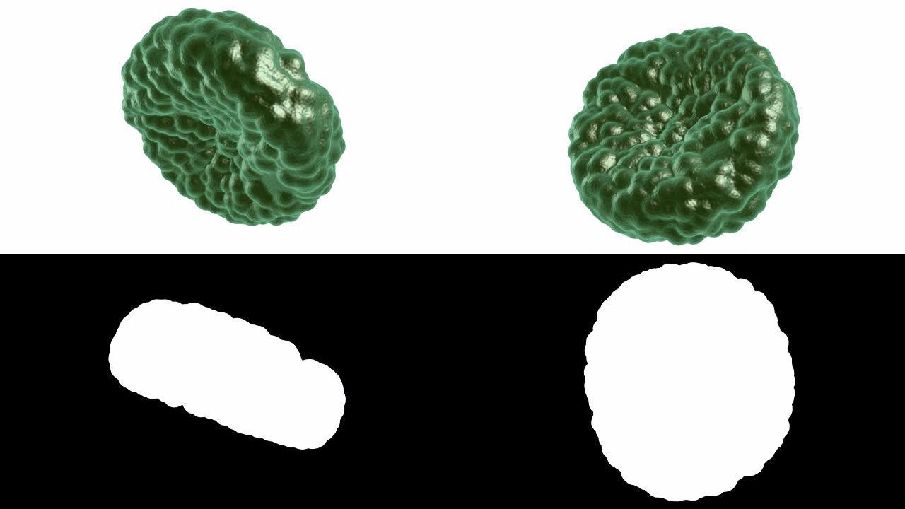 绿色疾病血细胞在白色上旋转。3d渲染高清素材。
