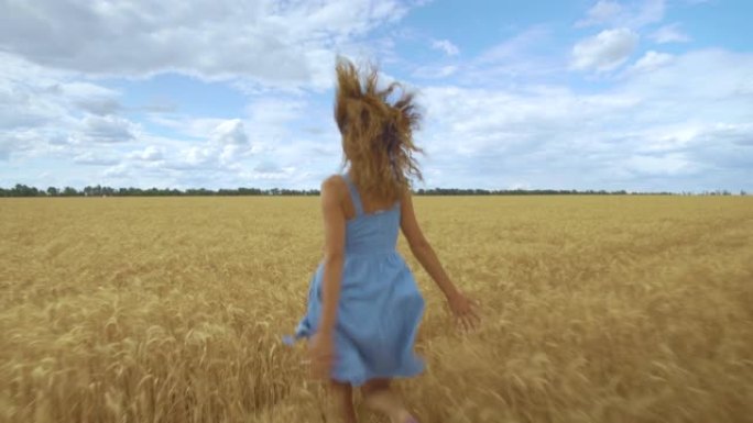 快乐的年轻女孩在田野上慢动作奔跑，用手抚摸麦穗。享受大自然的美丽自由女人