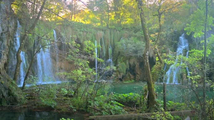 十六湖国家公园绿色森林内的瀑布