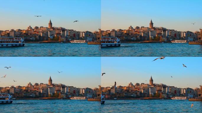土耳其伊斯坦布尔的加拉塔。土耳其伊斯坦布尔市的博斯普鲁斯海峡，海鸥和船只。