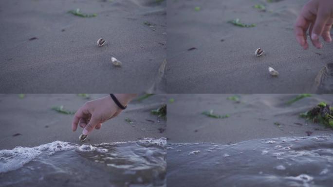 手从沙滩上举起贝壳