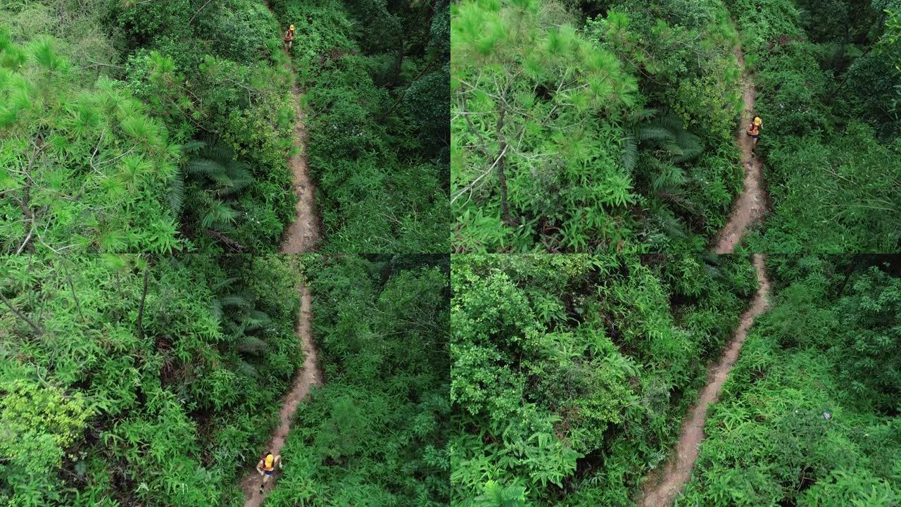在热带森林中奔跑的女子超级马拉松运动员的鸟瞰图
