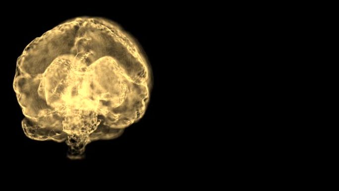分析在黑暗背景上旋转的人脑的左右半球。