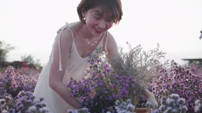 年轻的亚洲妇女爱抚玛格丽特的花朵与日落