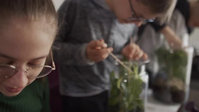 孩子们趋向于他们的植物瓶花园